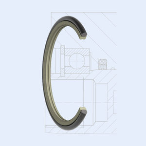 O-Ring-Dichtung 1