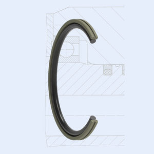 O-Ring-Dichtung 1