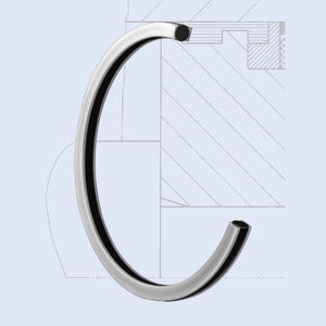 O-Ring-Dichtung 1