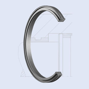 O-Ring-Dichtung 1
