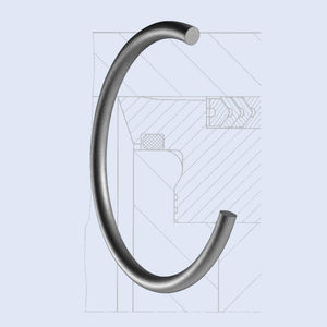 Toroid-Dichtung 1