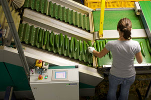Sortiermaschine für die Lebensmittelindustrie