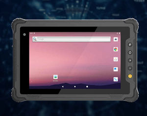 Panel-PC / mit kapazitivem Touchscreen
