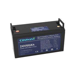 LiFePO4-Batterie 1