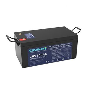 LiFePO4-Batterie 1