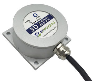 elektronischer Kompass