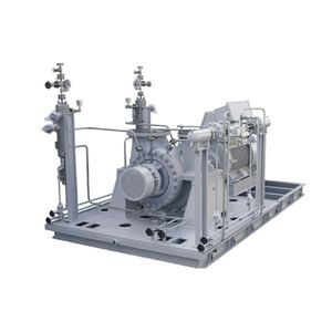 Kreiselpumpe 1
