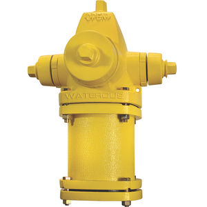 Feuer-Hydrant / ANSI/AWWA C502