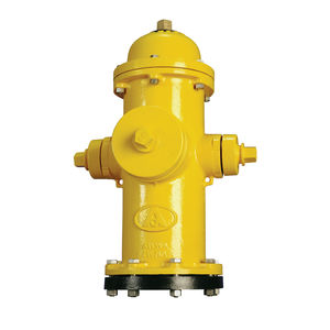 Feuer-Hydrant / ANSI/AWWA C502