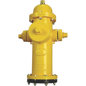 Feuer-Hydrant