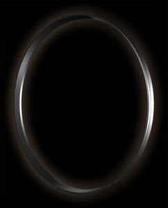 O-Ring-Dichtung / profiliert / Gummi / Synthetik