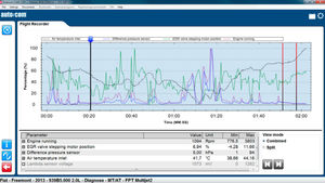 Diagnose-Software