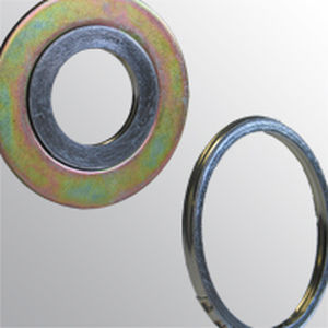 Spiraldichtung