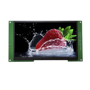 7"-Displaymodul 1