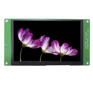 5"-Displaymodul 1