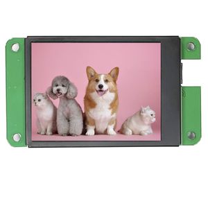 2,4"-Displaymodul 1