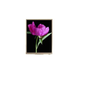 Displays / TFT LCD