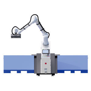 Roboter-Palettierer