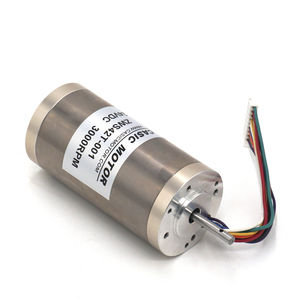 bürstenloser Motor 1