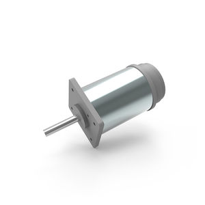 bürstenbehafteter Motor