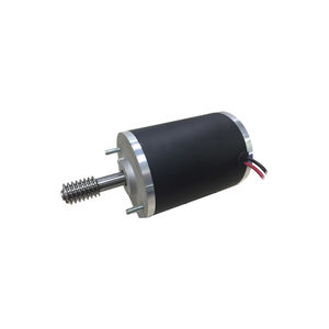 bürstenbehafteter Motor 1