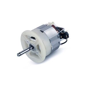 AC-Motor