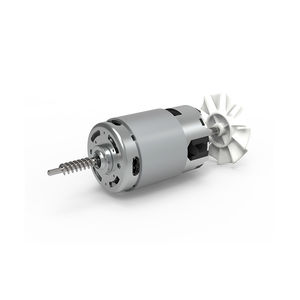 bürstenbehafteter Motor