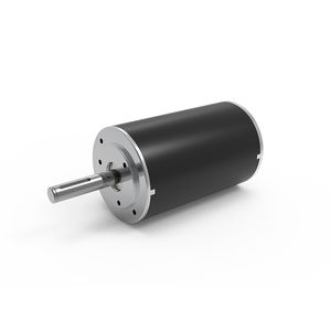 bürstenbehafteter Motor 1