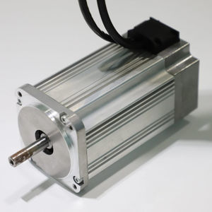 bürstenloser Motor 1