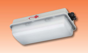 LED-Beleuchtung / Polycarbonat / für Gefahrzonen