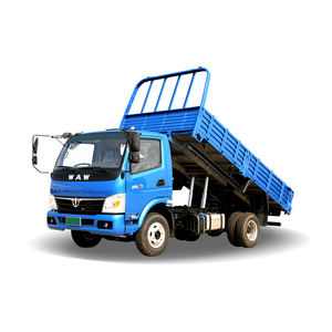 Transport-LKW