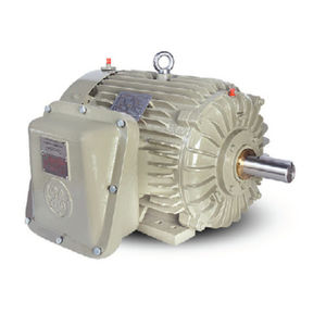 ex-geschützter Motor