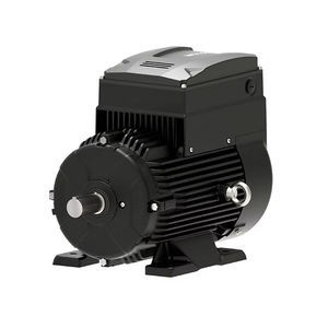 Synchronmotor 1