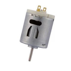 bürstenbehafteter Motor