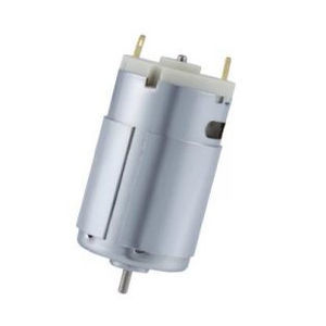 bürstenbehafteter Motor