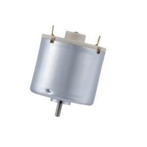 bürstenbehafteter Motor