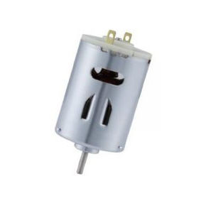 bürstenbehafteter Motor