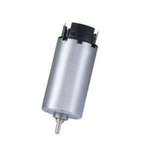 bürstenbehafteter Motor