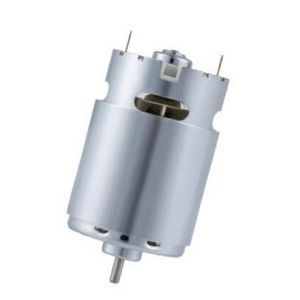 bürstenbehafteter Motor