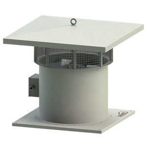 Dachventilator 1