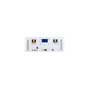 Lithium-Batterie 1