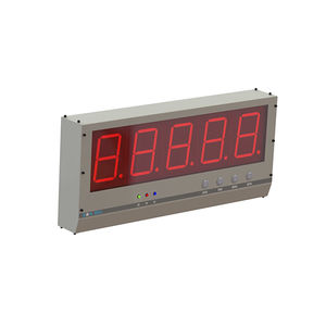 Auswertegerät mit LCD-Anzeige