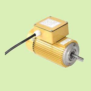 einphasiger Motor