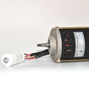Induktionsmotor