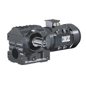 Schneckengetriebemotor 1