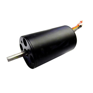 bürstenloser Motor