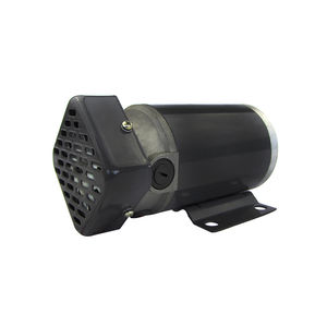 bürstenbehafteter Motor