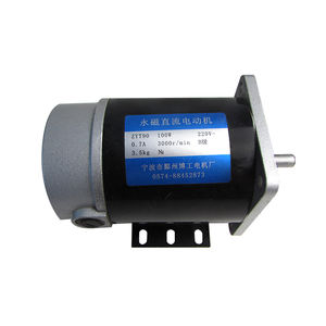 bürstenbehafteter Motor