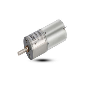 bürstenbehafteter Motor