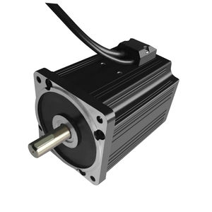 bürstenloser Motor